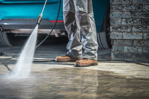Best Spring Cleaning  in Mount Vernon, TX