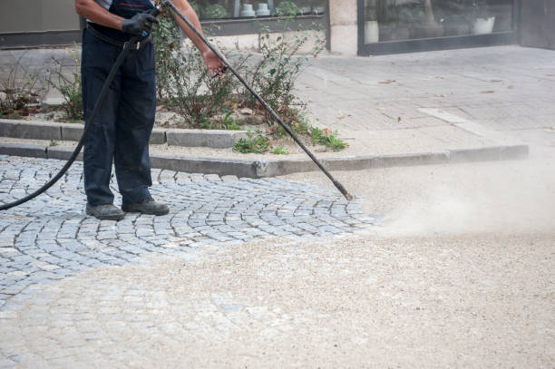 Best Pre-Holiday Cleaning  in Mount Vernon, TX