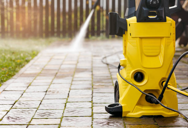 Animal Enclosure Cleaning in Mount Vernon, TX